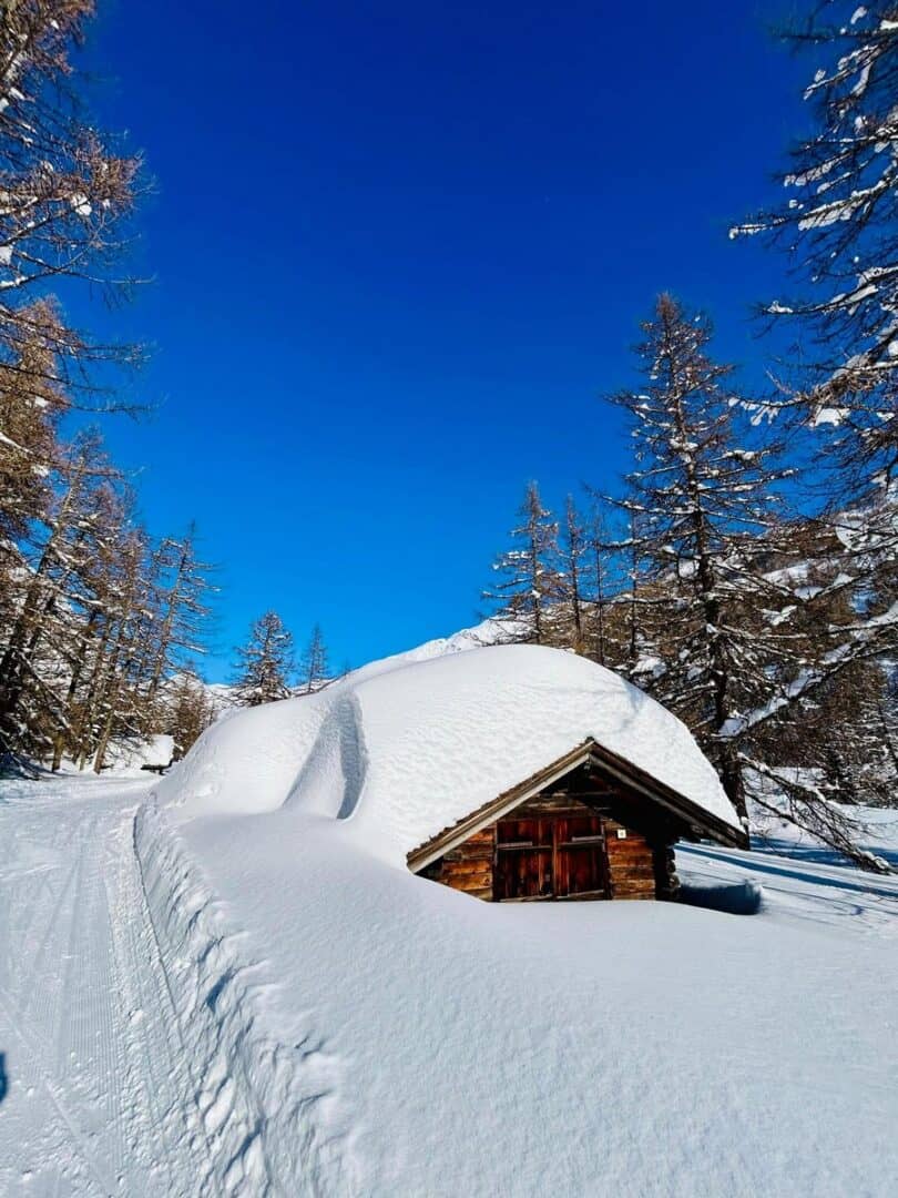 neve nel mondo 25 00015