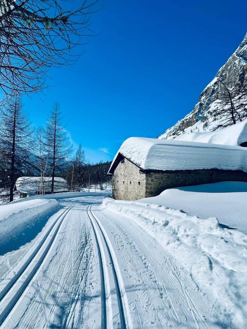 neve nel mondo 25 00018