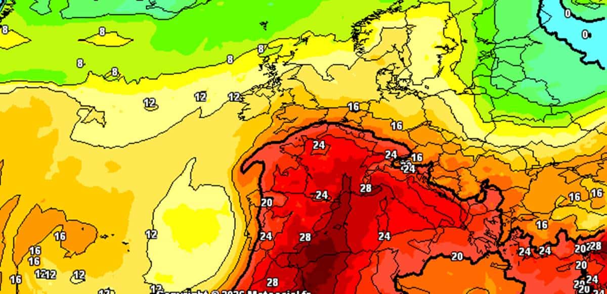 caldo