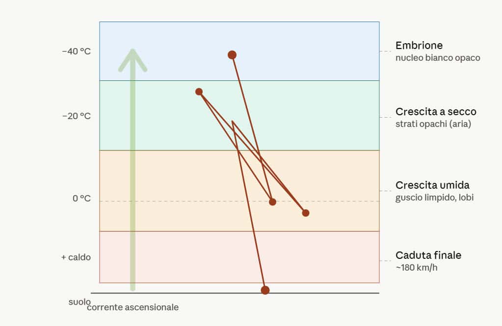 diagramma delmovimento chicco di grandine 22