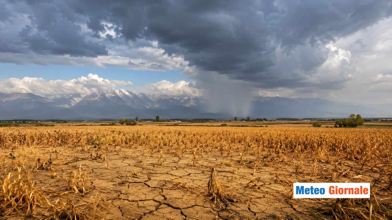 Caldo intenso fino a Ferragosto? L’analisi dei Centri Meteo