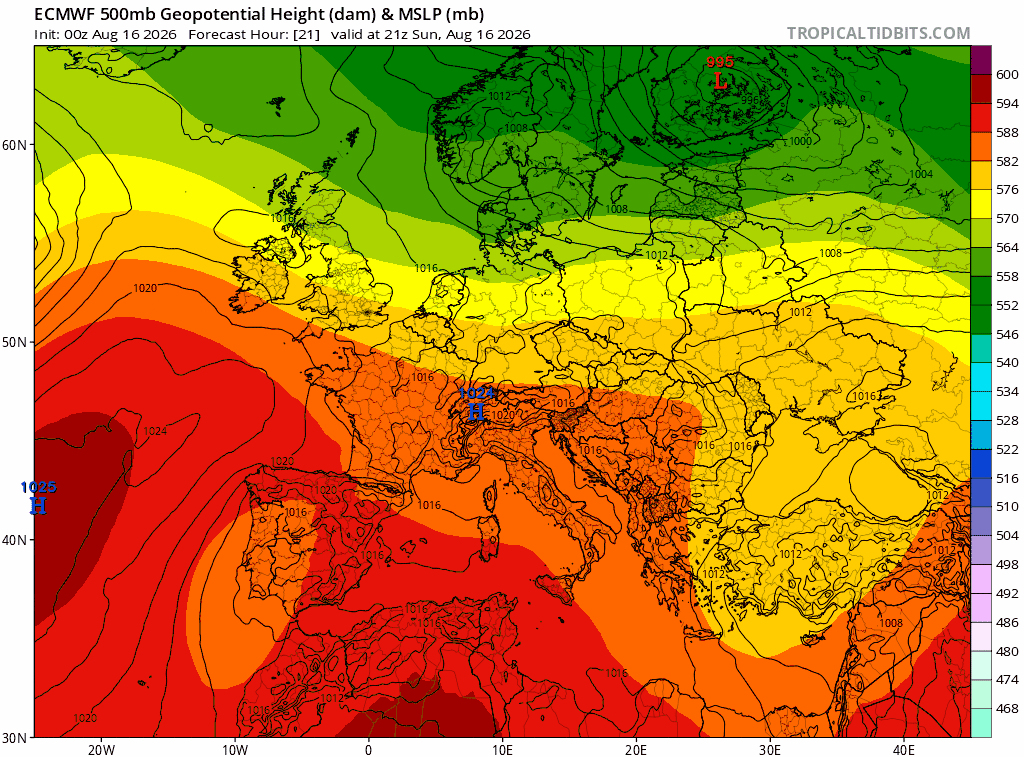 moviola ecmwf