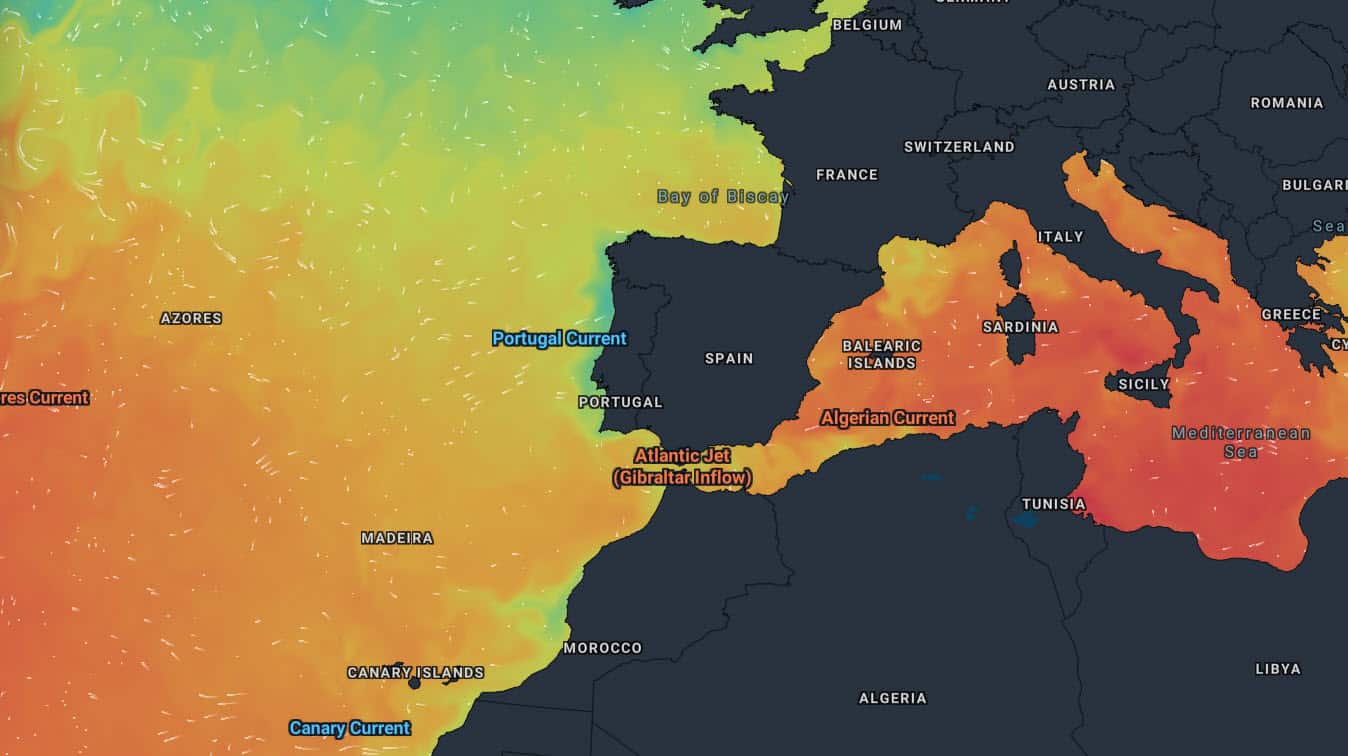 calde acque mediterraneo 18