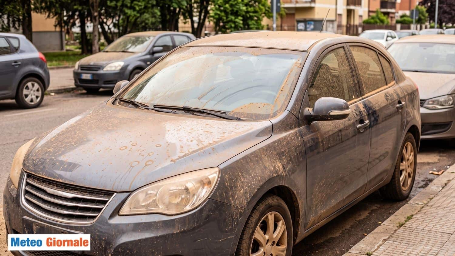 In Italia pioggia e neve gialla e aragncione: di che si tratta 1 Pulviscolo del Sahara abbondante dopo la pioggia hr